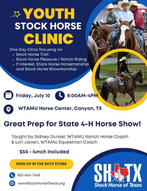 Youth Stock Horse Clinic